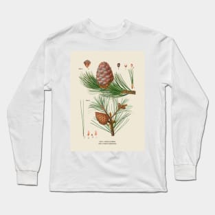 Pine Tree Antique Botanical Illustration Long Sleeve T-Shirt